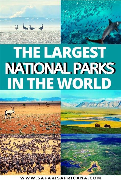 The Largest National Parks In The World National Parks Kruger