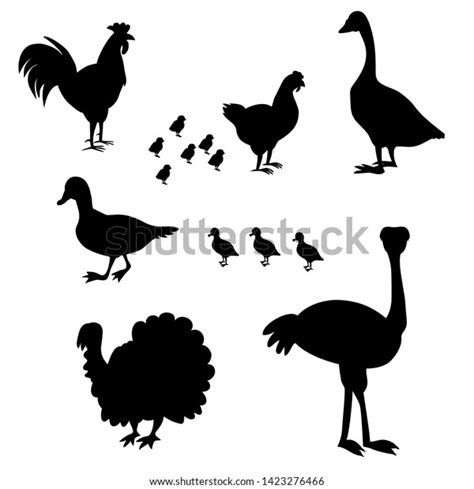 vector illustration poultry farms birdsblack silhouette stock vector royalty free 1423276466