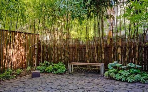 Outdoor bamboo garden ideas : 70 bamboo garden design ideas - how to create a ...