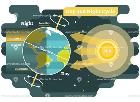Day And Night 24 Hours Cycle Vector Illustration Diagram Science