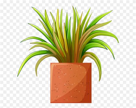 Plant Find And Download Best Transparent Png Clipart Images At