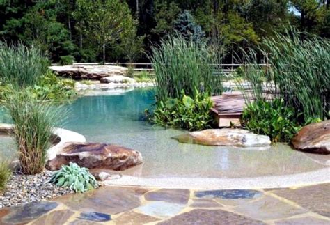 Diy By Swimming Pond With A Natural Self Cleaning Process Interior