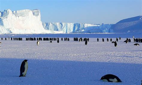 Report Reveals Global Impact Of Climate Change In Antarctica
