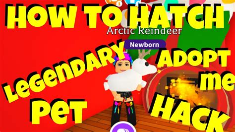 Prezley shows you how to get a flying potion for your pet free no robux in this fly potion adopt me roblox hacks. How to Hatch a Legendary Arctic Reindeer in Adopt Me ...