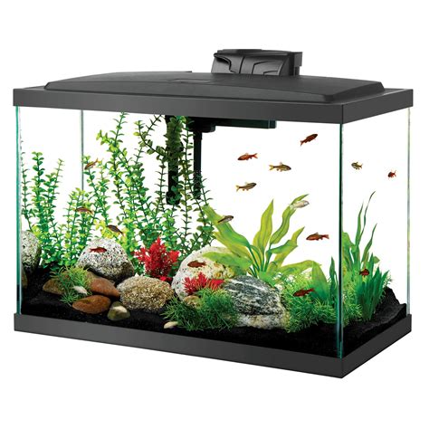 Aqueon Led Aquarium Kit 20h Black Petco