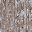 Cabin Wood Distressed Wooden Plank Wallpaper Timber Flooring