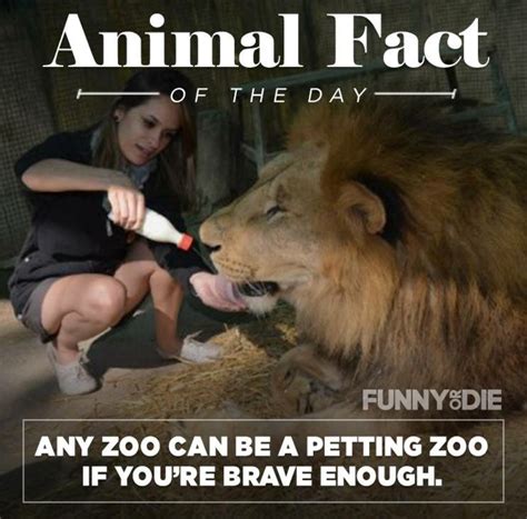 25 Funny Animal Facts That Might Make You Pee A Little