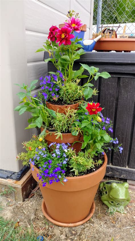 I Stacked Pots Cant Wait For Them To Bloom Rgardening