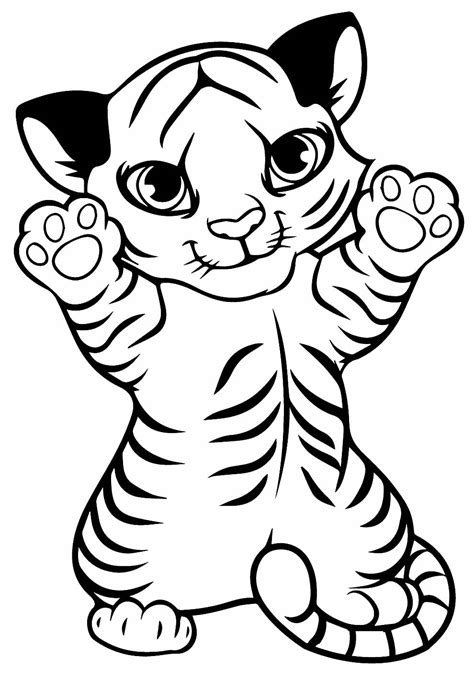 Desenho De Tigre Bonito Para Colorir Tudodesenhos Images