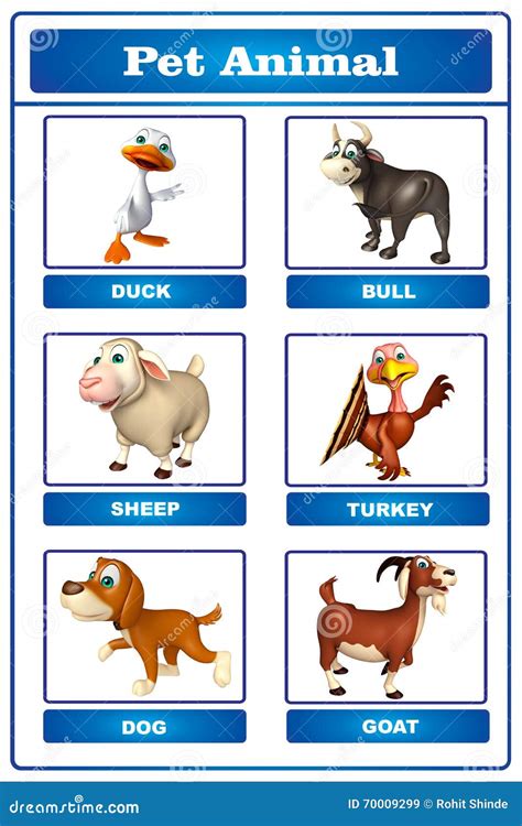 Pet Animals Chart For Kids