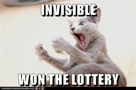 Invisible Won The Lottery Lolcats Lol Cat Memes Funny Cats