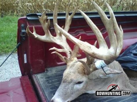 Giant 28 Point Buck Taken In Illinois By Bow And From The Ground