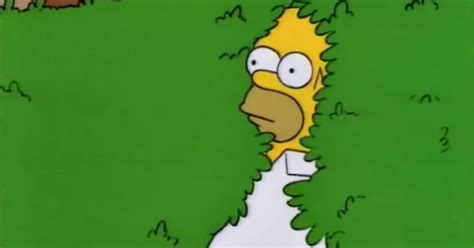 The Story Of The ‘homer Simpson Backs Into The Bushes Meme