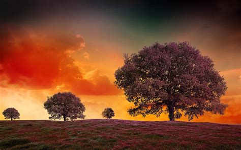 Kostenlose Foto Landschaft Baum Wolke Himmel Sonnenaufgang