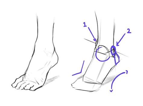 3 Ways To Draw Human Feet Pedalaman