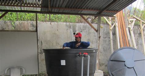 Teknologi tanaman cili secara fertigasi di pkb. Modern Farming: Sistem Fertigasi Cili, Rock Melon dan ...