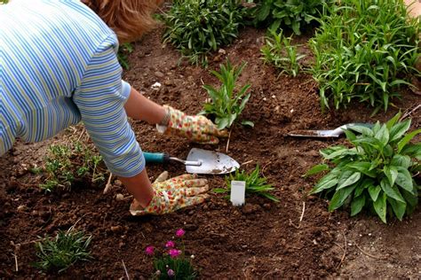 Cultivating A Natural Garden Thriftyfun