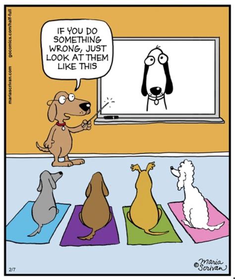 The Look Funny Dogs Dog Jokes Dog Comics