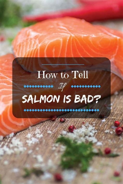 How To Tell If Salmon Is Bad Something Fishy Comes This Way Salmon
