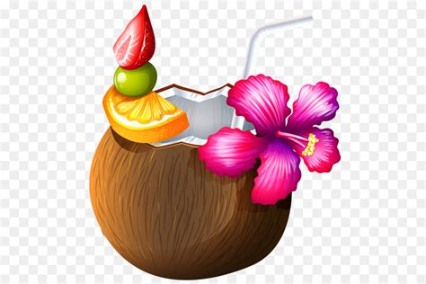 Coconut Drink Clipart Clip Art Library