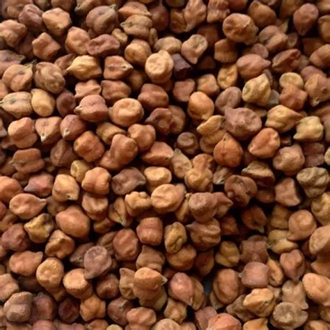 Whole Black Chickpeas At Rs Kg Desi Chana In Nagpur ID
