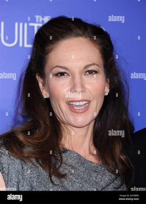 Diane Lane Attending The Premiere Of The Guilt Trip In Los Angeles