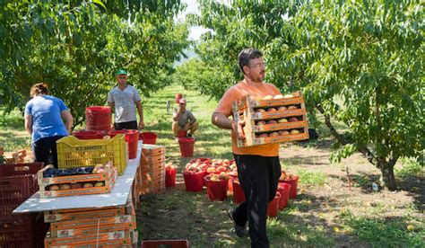Select from premium television academy producers of the highest quality. Push to help local food producers win more government ...