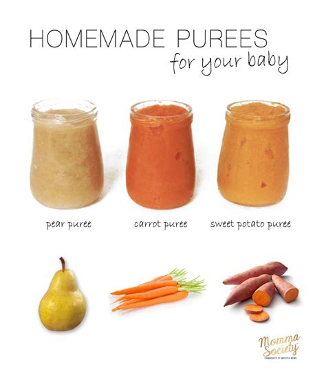 This recipe collection contains stage 1 purees and stage 2 baby foods. Baby's First Foods & Puree Recipes — Momma Society