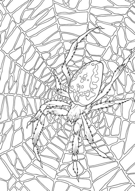 Super hero on the background of the web. Very Large Spider Web Coloring Page : Color Luna