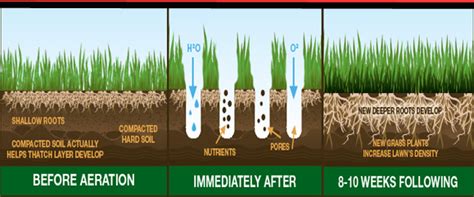 We did not find results for: Step 3: Water Wisely - Jersey-Friendly Yards