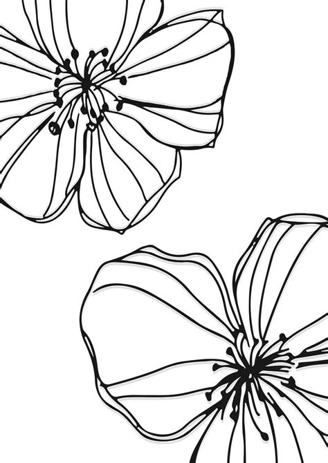 Set Of 3 Floral Outline Print Illustration Line Drawing Etsy Italia