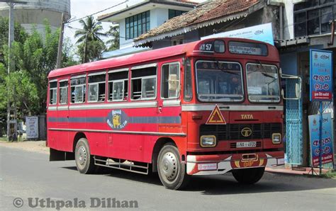 Sltb Tata 1510 C Bus Sri Lanka Transport Board Sltb Math Flickr