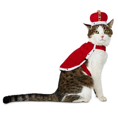 Petco Halloween King For A Day Cat Costume Wicked Costumes Dog