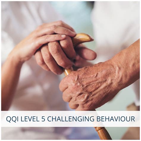 QQI Level 5 Challenging Behaviour Course | Chevron Training