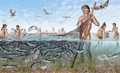The Calusa People A Lost Tribe Of Florida That Early Explorers Wrote