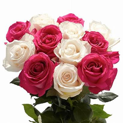 Roses Flowers Flower Rose Bouquets Globalrose Fresh