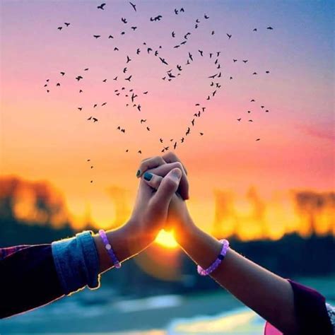 Sunset Hands With Heart Love Images Cute Love Photo