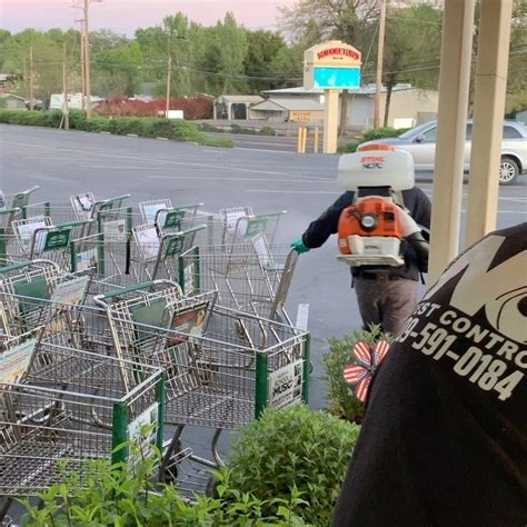 Express pest control hart pride ourselves on offering one of the areas premier 24 hour emergency* pest control solutions. Angels Food Market - Deli - Angels Camp, California - 323 ...
