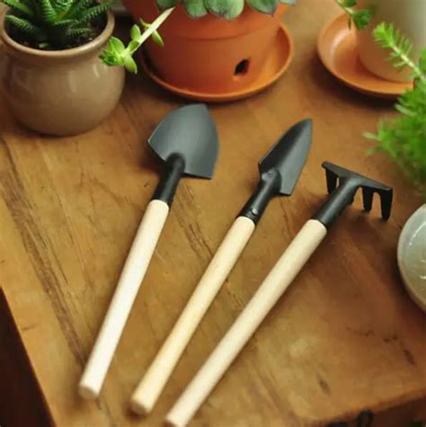 Buy 3pcs In Gardener Bonsai Tool Small Shovel Rake