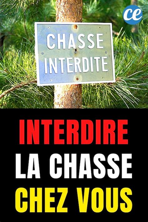 Comment Faire Interdire La Chasse Sur Votre Propri T