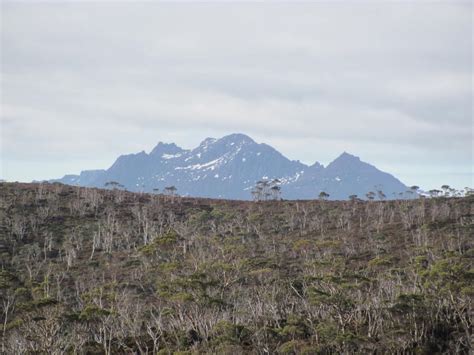 Mandm Smith Tasmania Day 2 Overland Track Barn Bluff Hut To Pine