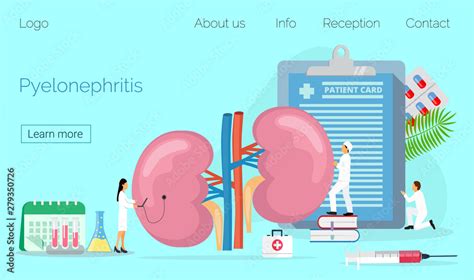 Concept Of Pyelonephritis Diseases And Kidney Stones Cystitis