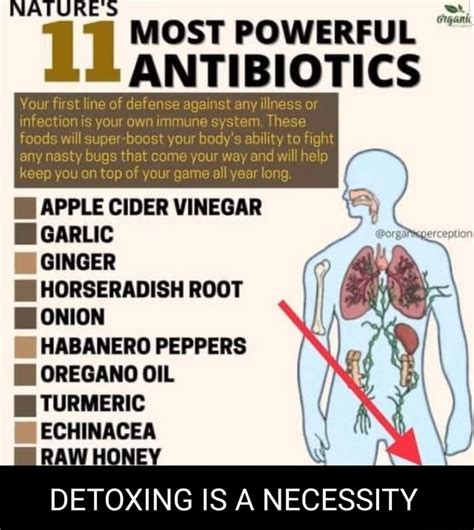 Natu 11 Most Powerful Antibiotics Antibiotics Your First Line Of