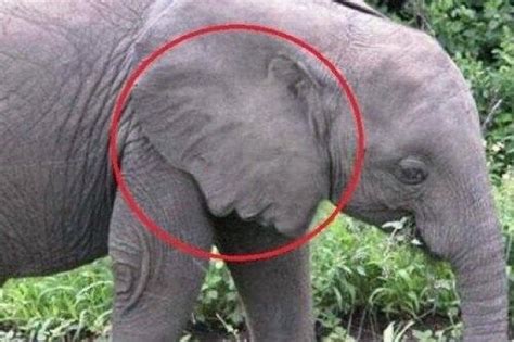 30 Times Everyday Objects Hilariously Look Like Something Else