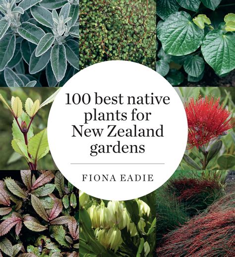 100 Best Native Plants For New Zealand Gardens Revised Edition