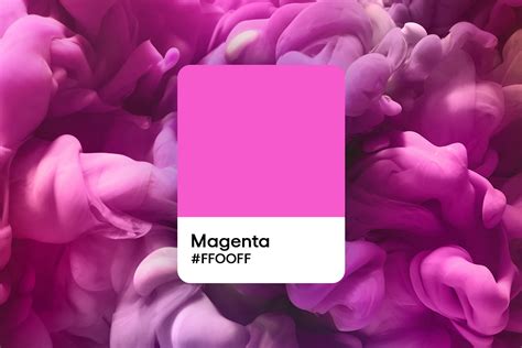 Is Magenta A Real Color Color Codes And How To Work With It Picsart Blog