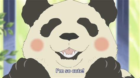 Panda Kun From Shirokuma Cafe Polar Bear Cafe Chibi Panda Anime