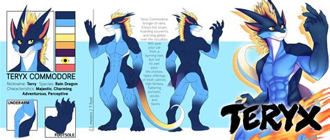 [kinniro] Anthro Rain Dragon Reference — Weasyl