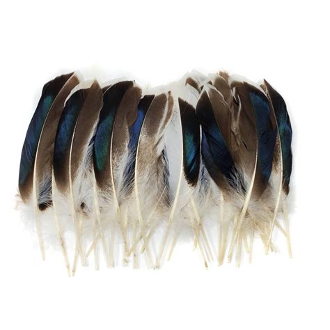Mallard Duck Wing Feathers 10 Pieces 4 5 Inches Etsy