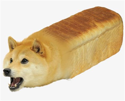 Shiba Inu Doge Youtube Doge Bread Transparent Transparent Png
